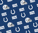 Indianapolis Colts Whole Caboodle
