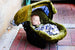 Hawkslee Carseat Canopy Whole Caboodle